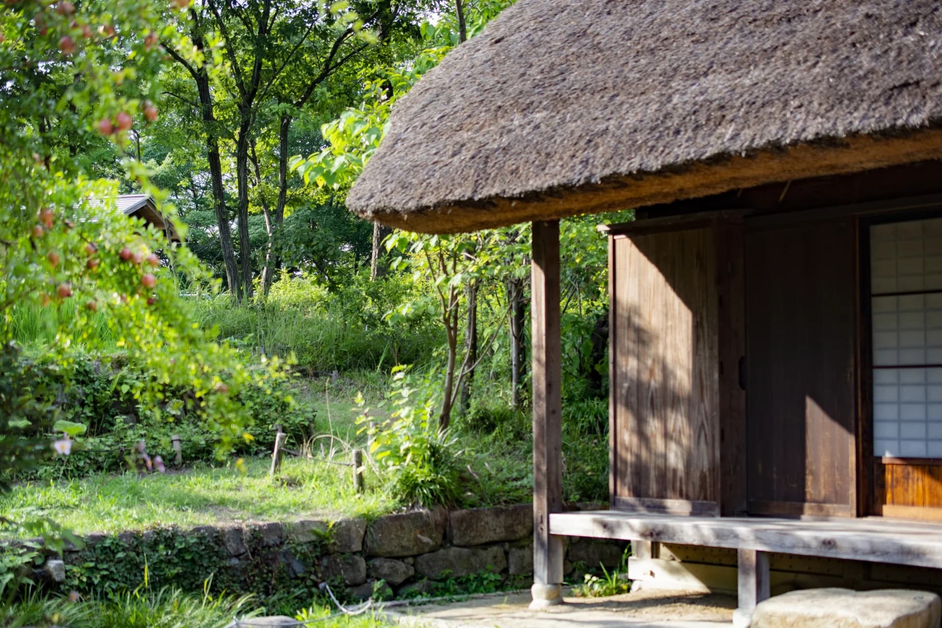 木立の中に建つ茅葺き屋根の古民家