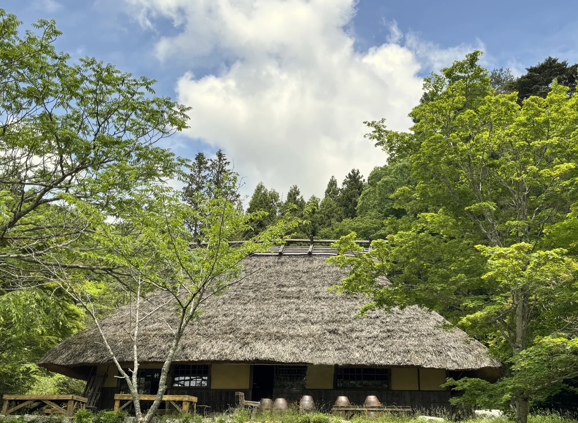 新緑の木々に囲まれた茅葺き屋根の古民家
