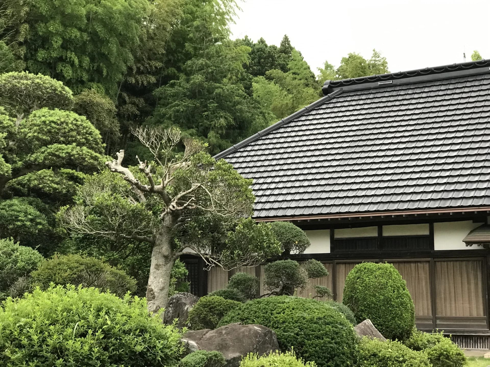 庭木に囲まれた瓦屋根の古民家