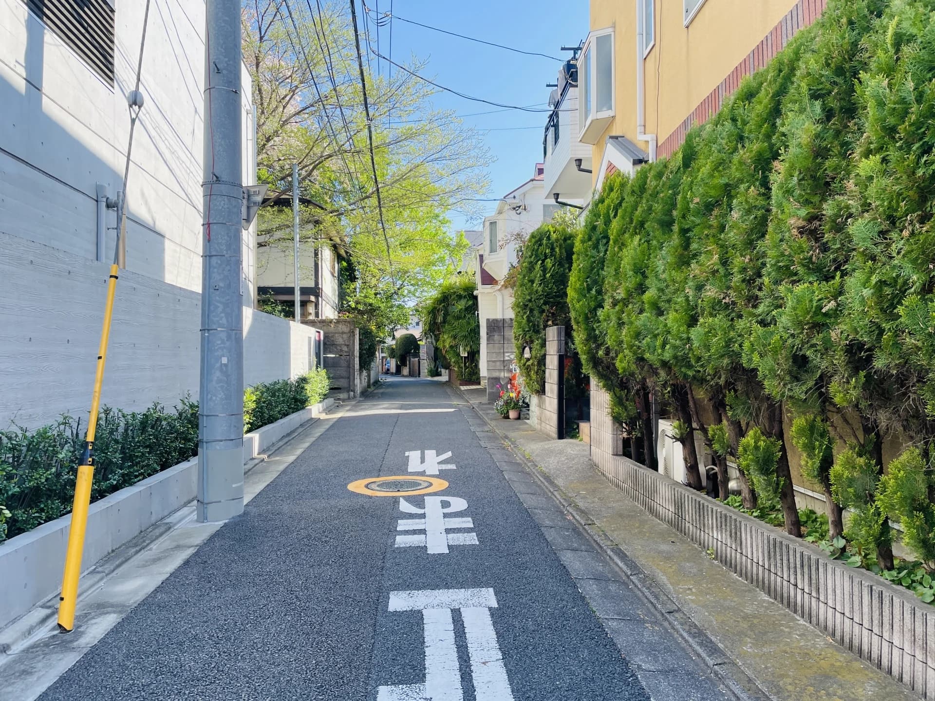 五本木の住宅街で生垣と住宅に挟まれた細い道（目黒区の空き家買取のイメージ）