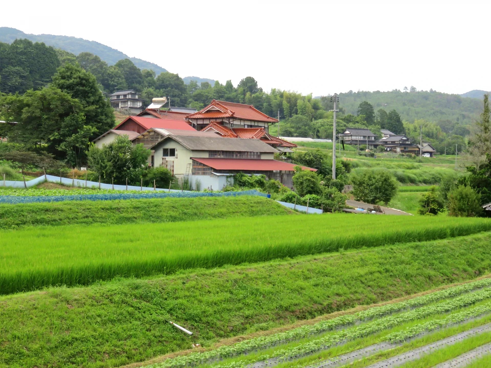 田んぼの奥に建つ赤い瓦屋根の古い日本家屋と、山あいに点在する古民家の集落