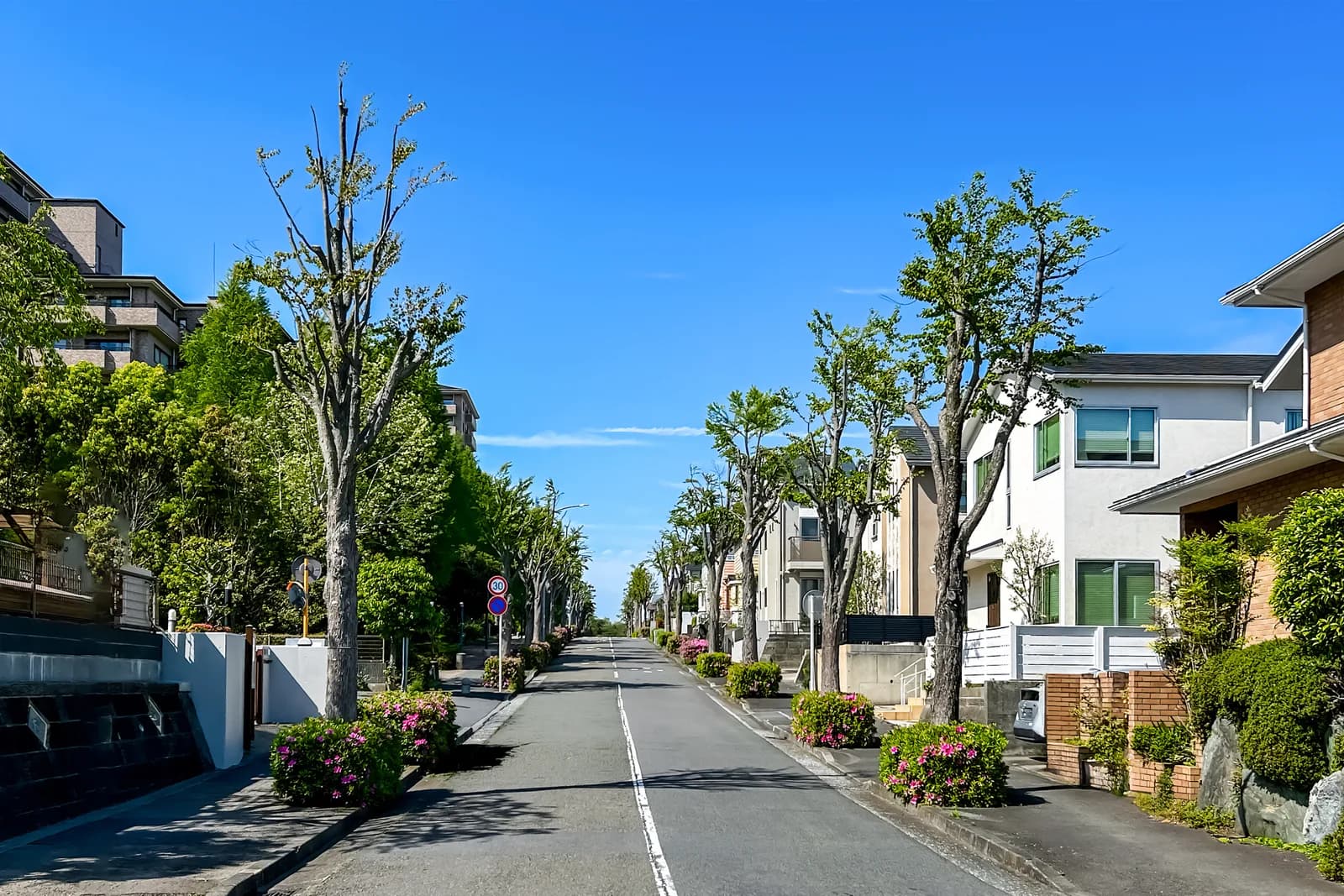 まっすぐ続く道と両脇の家々が美しい住宅街(借地権・底地に関する記事のイメージ)