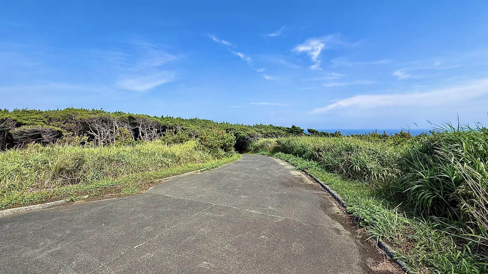 伊豆大島のトウシキ海水浴場へと続く道