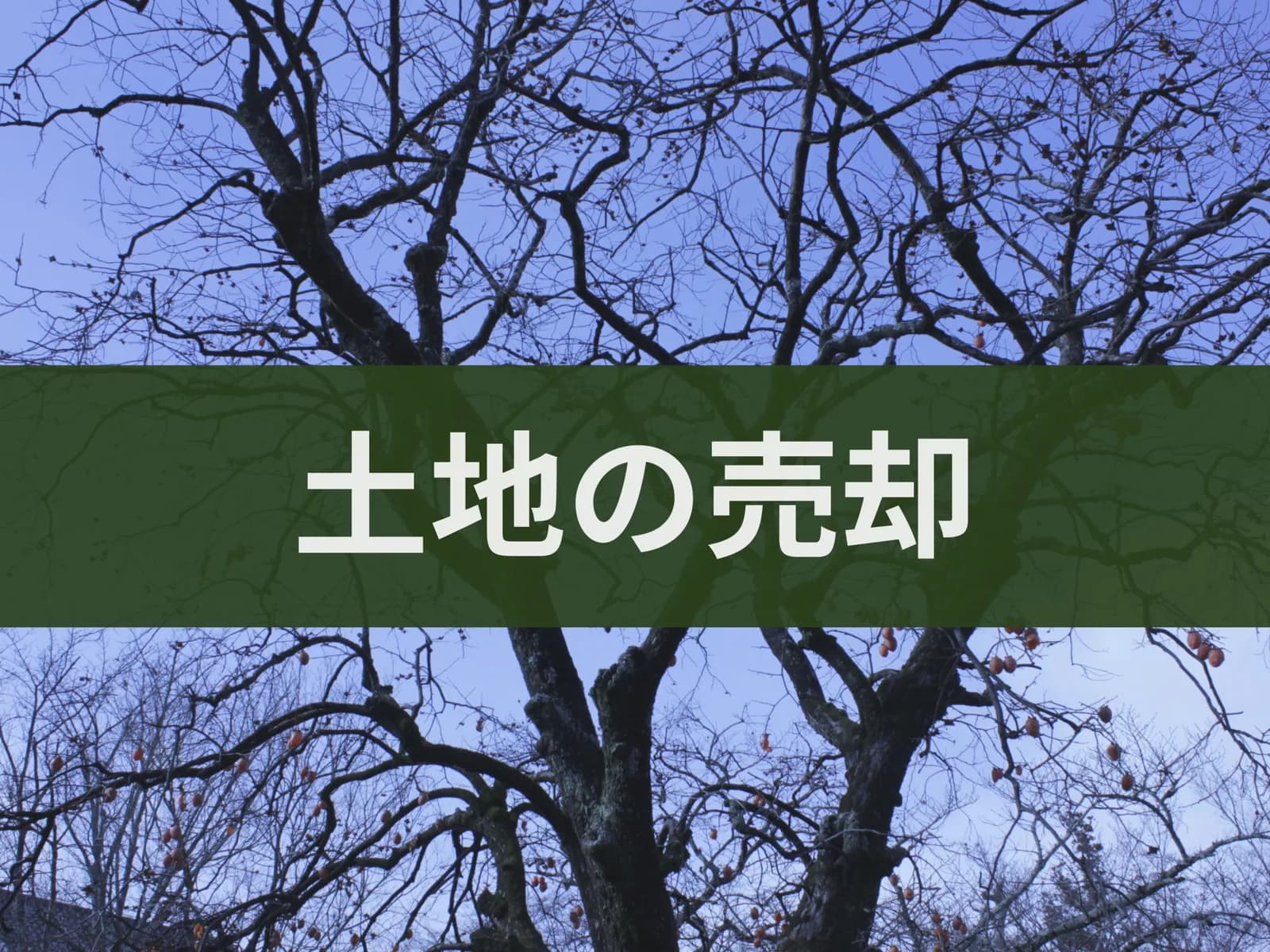 土地の売却の文字入り背景