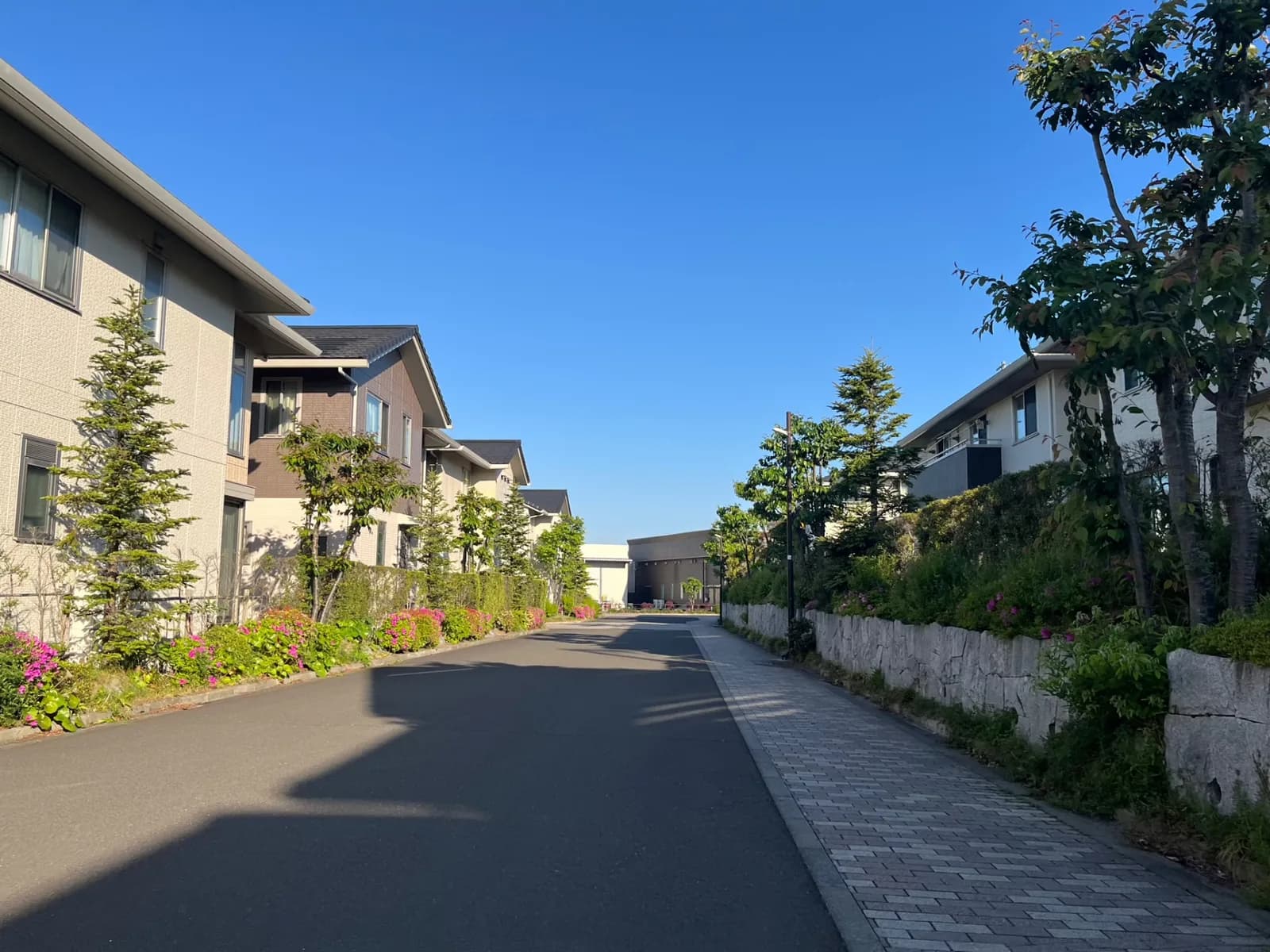 晴れた日の住宅街の道路(再建築不可・接道に関する記事のイメージ)