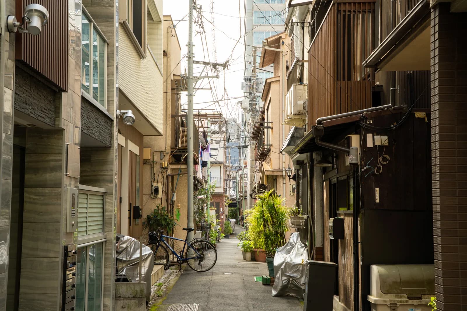 狭い路地と植木鉢が並ぶ生活感のある風景(再建築不可・接道に関する記事のイメージ)