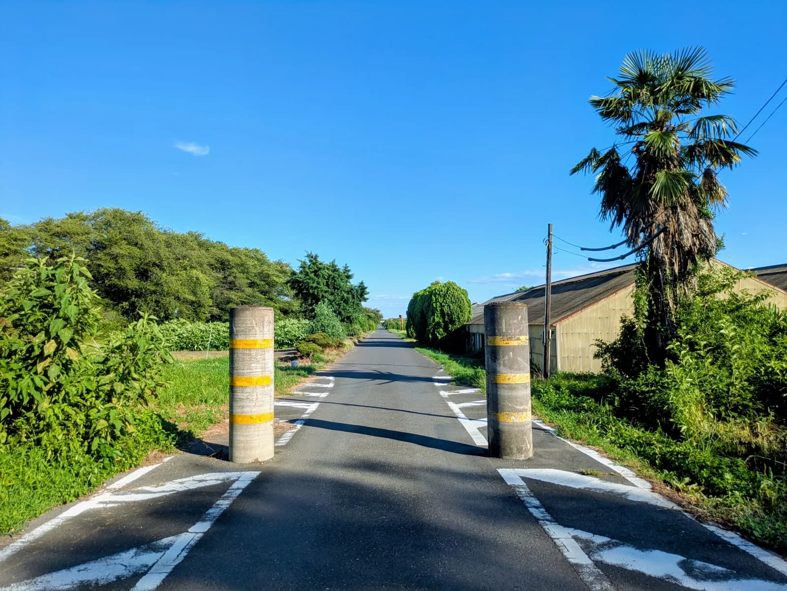 速度ダウンの狭窄ポール 田舎の一本道