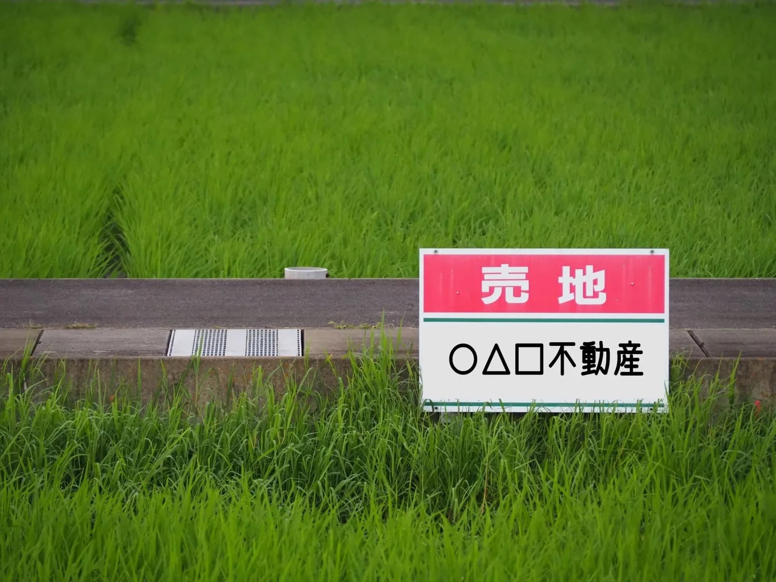 青田の中に立つ売地の看板(田舎の売れない土地に関する記事のイメージ)
