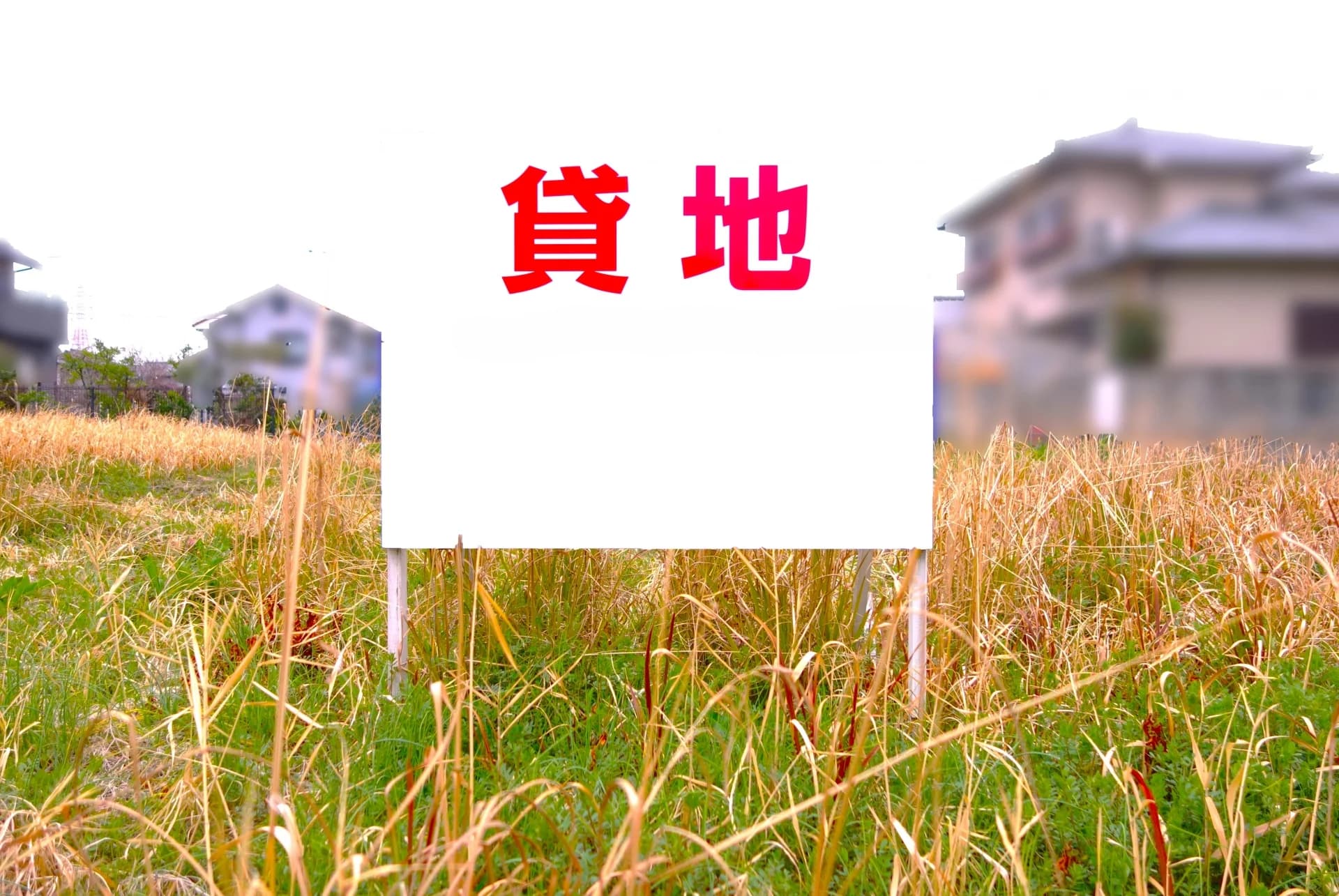 草地に立つ「貸地」の看板と奥の住宅(土地を借りる賃借権のイメージ)