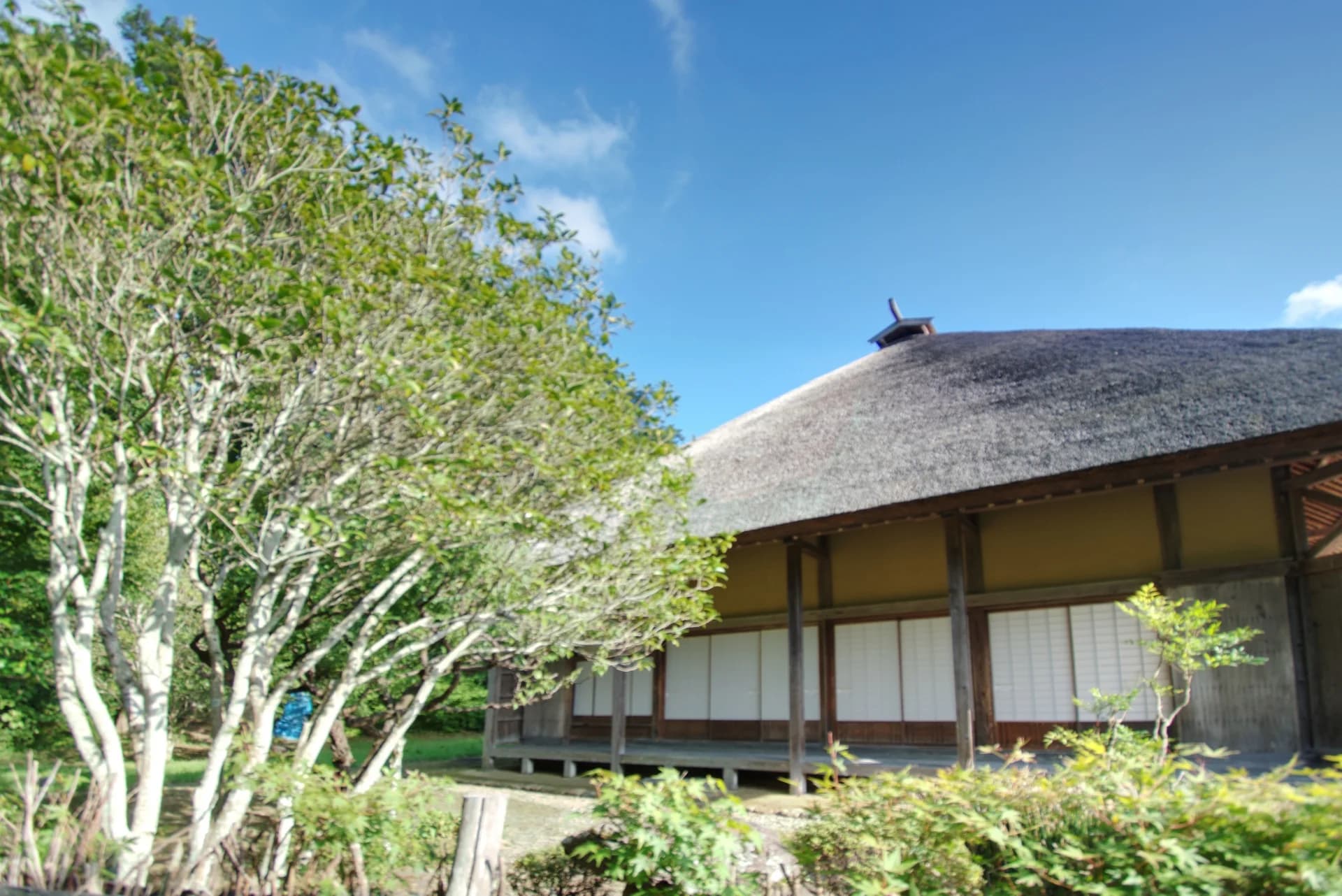 庭木の奥に建つ茅葺き屋根の古民家