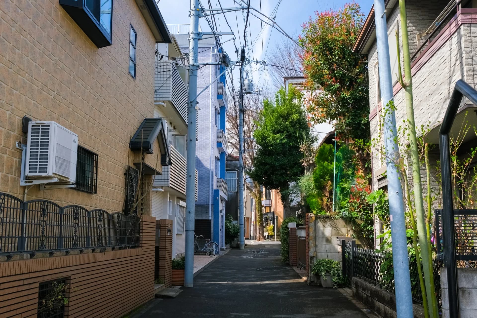 雑司が谷の住宅に挟まれた路地裏に電柱と庭木が並ぶ風景(豊島区の空き家買取のイメージ)