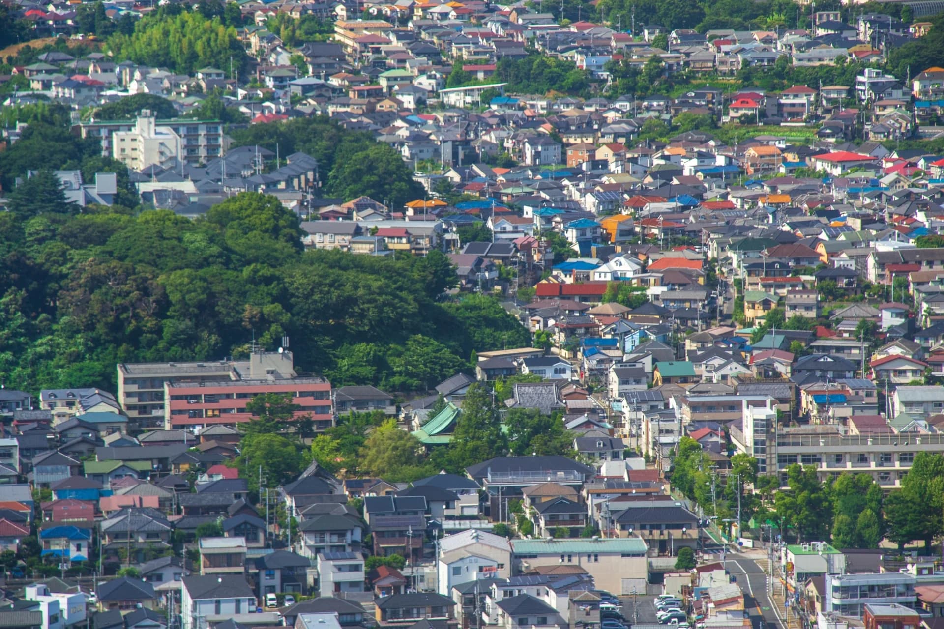 市川市の緑の丘に戸建てが立ち並ぶ街並み(千葉県の底地の買取のイメージ)