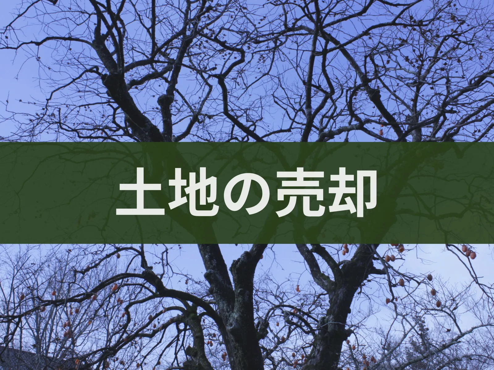 土地の売却の文字入り背景