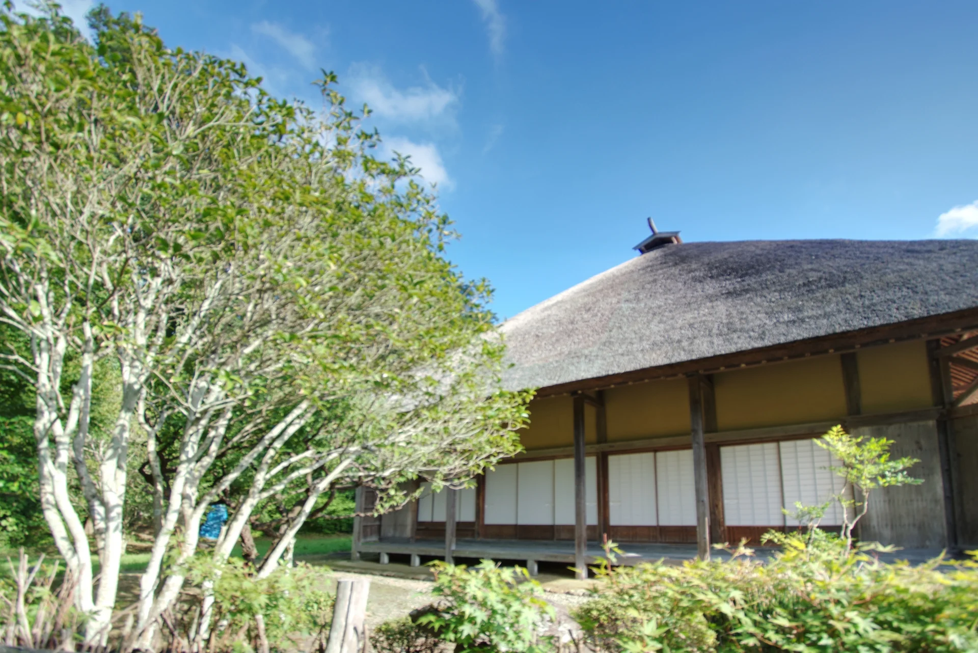庭木の奥に建つ茅葺き屋根の古民家