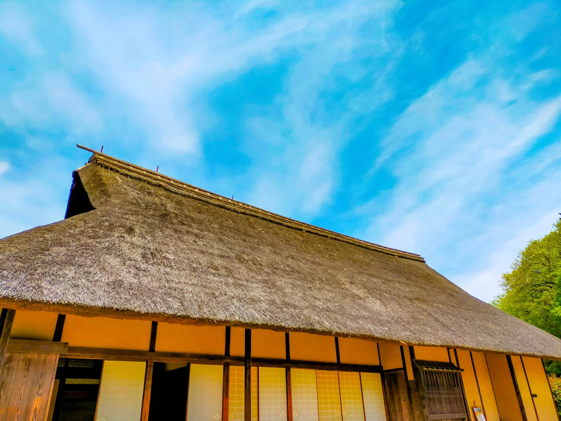 夕日に照らされる茅葺き屋根の民家
