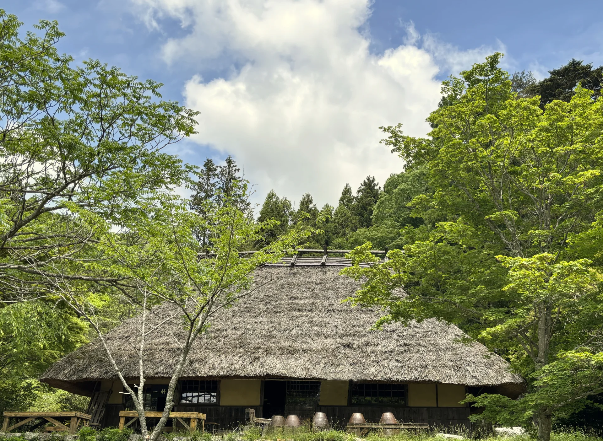 新緑の木々に囲まれた茅葺き屋根の古民家
