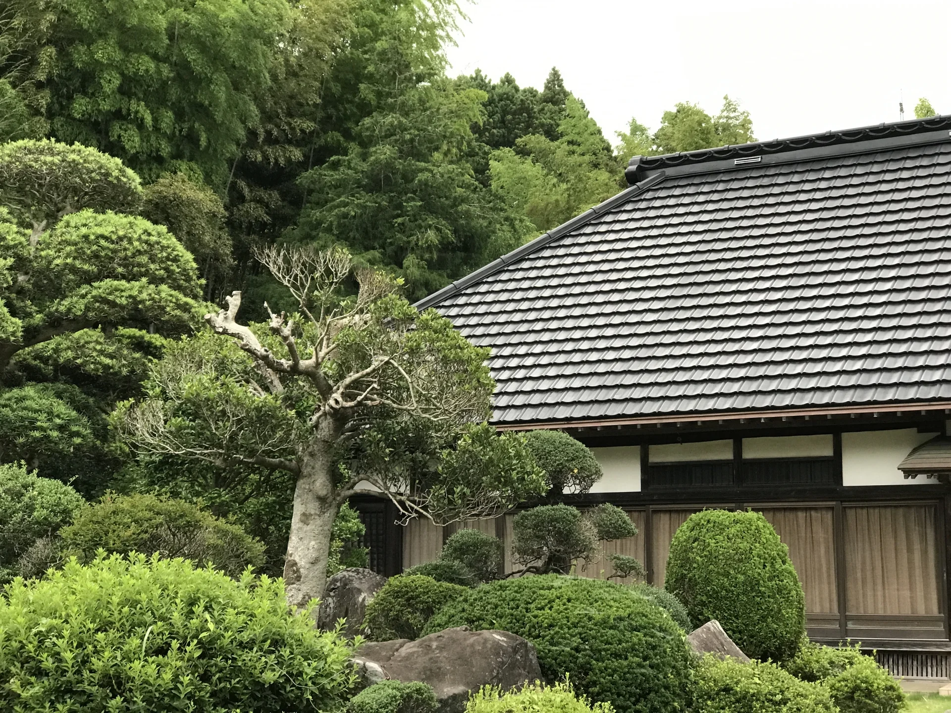 庭木に囲まれた瓦屋根の古民家