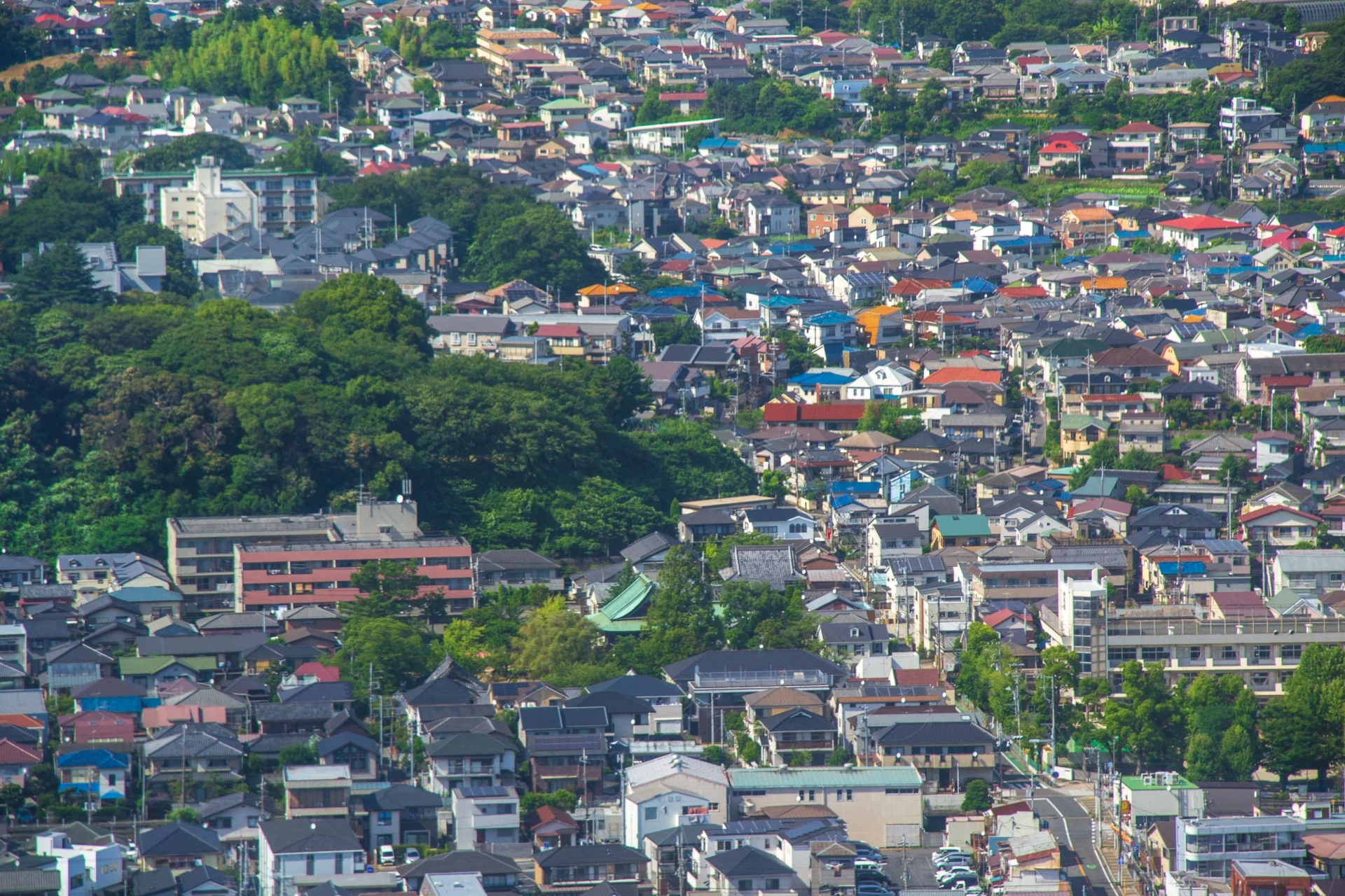 市川市の緑の丘に戸建てが立ち並ぶ街並み(千葉県の底地の買取のイメージ)
