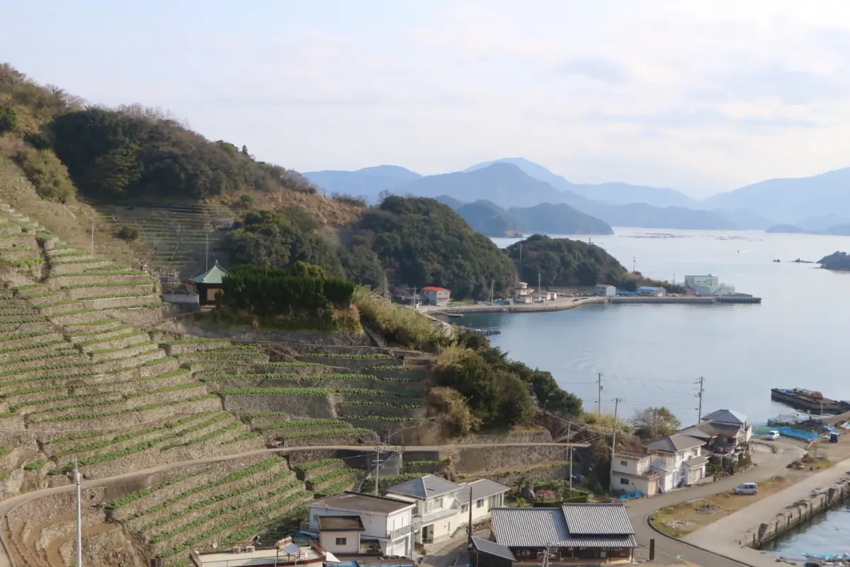 段々畑と港町が見える愛媛県宇和島市の遊子水荷浦(宇和島市の0円物件に関する記事のイメージ)