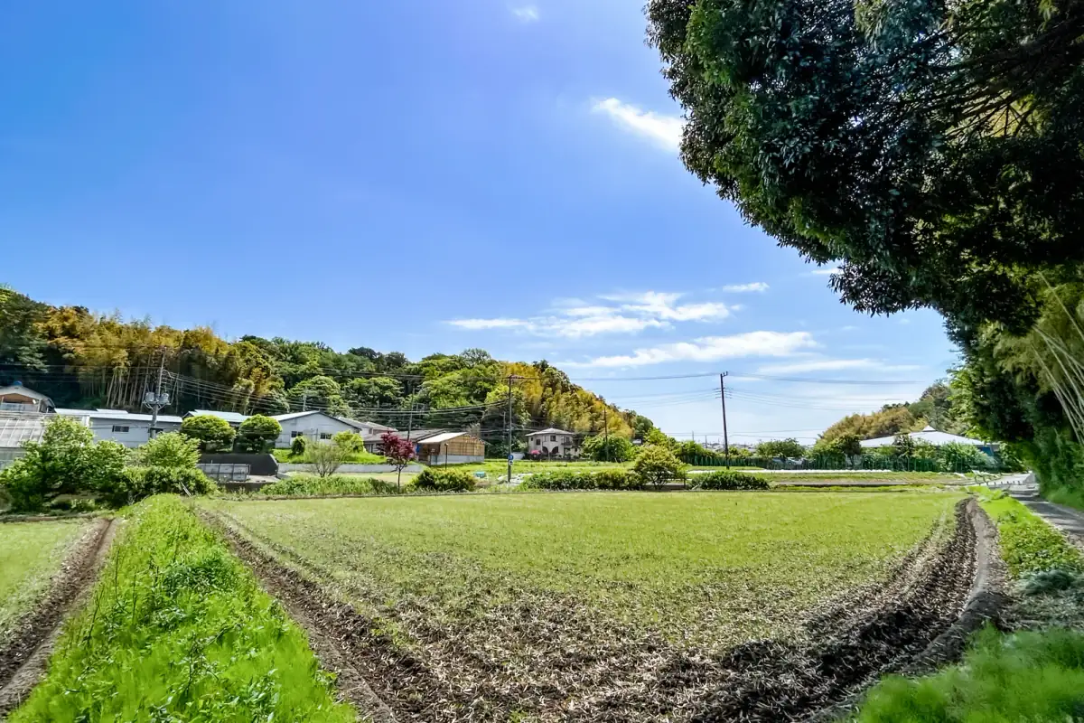 山や木々やあぜ道がのどかな農村の光景(別荘に関する記事のイメージ)