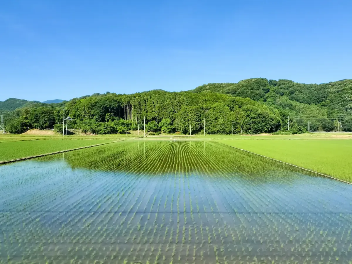 JR北陸本線車窓から長浜市湖北町の田園(別荘に関する記事のイメージ)