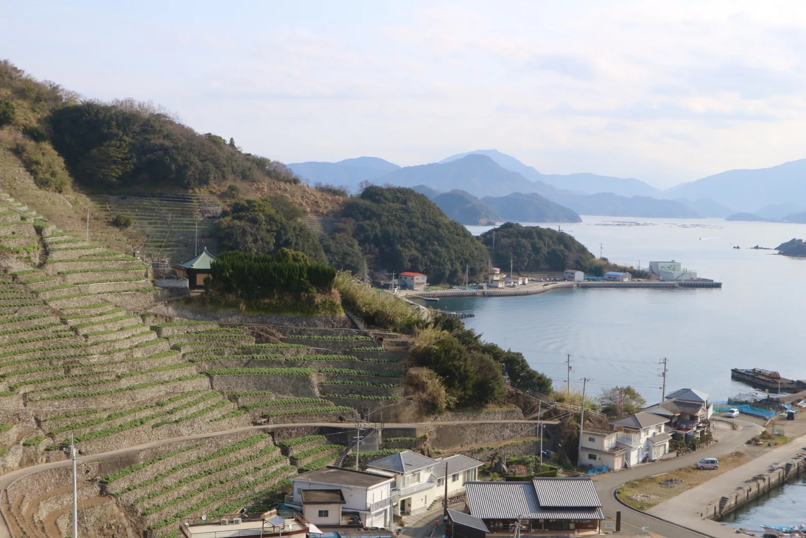 段々畑と港町が見える愛媛県宇和島市の遊子水荷浦(宇和島市の0円物件に関する記事のイメージ)