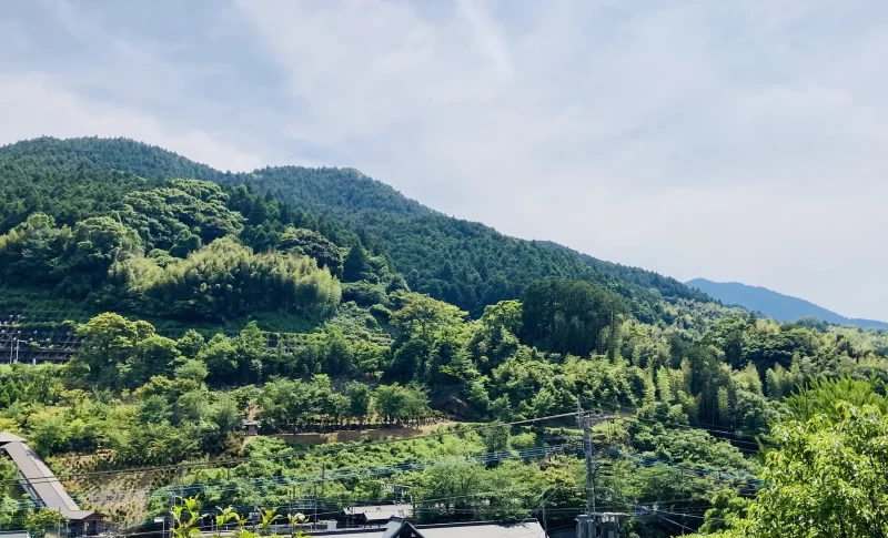 山と空ド田舎（別荘に関する記事のイメージ）