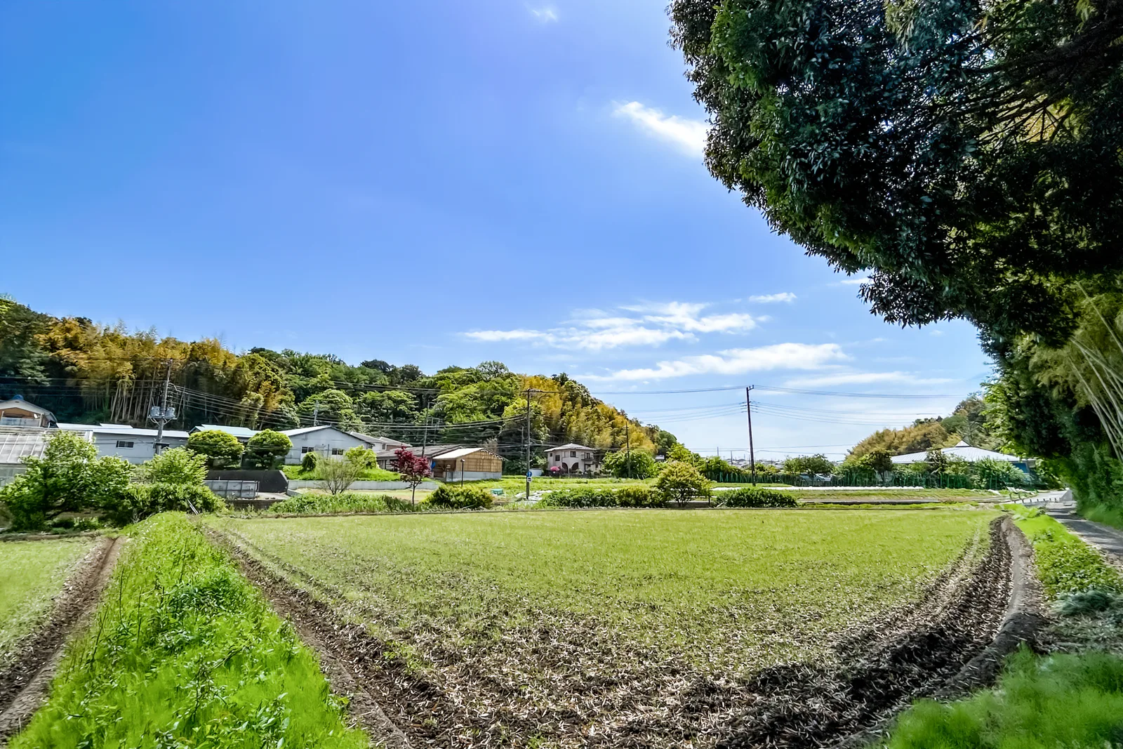 山や木々やあぜ道がのどかな農村の光景(別荘に関する記事のイメージ)
