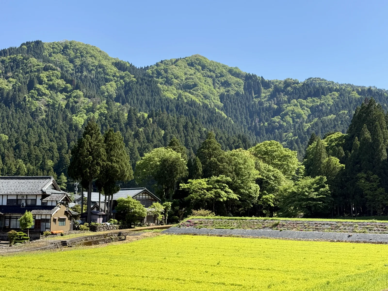 春の福井奥越前の集落農村の景色(別荘に関する記事のイメージ)