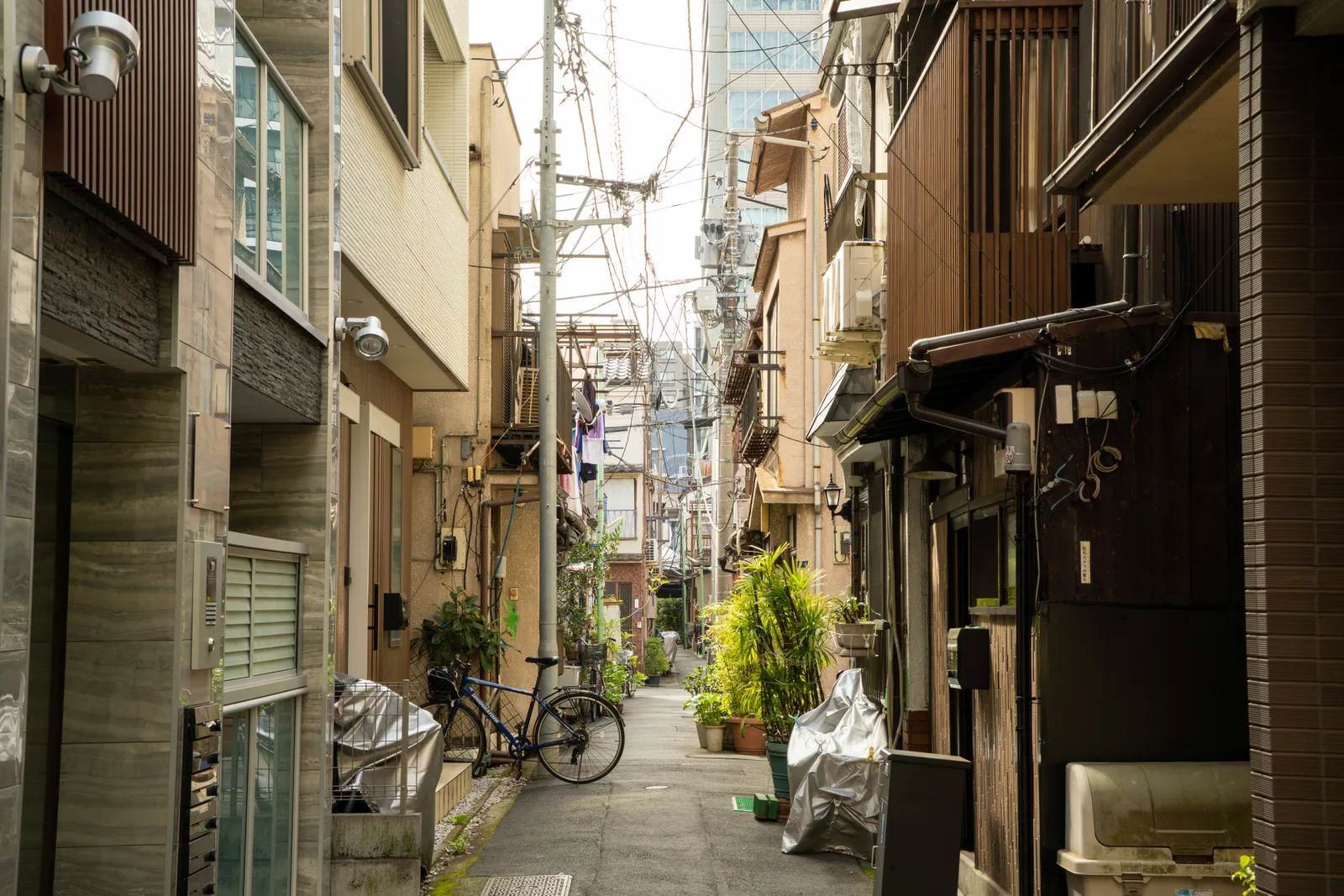 狭い路地と植木鉢が並ぶ生活感のある風景(再建築不可・接道に関する記事のイメージ)