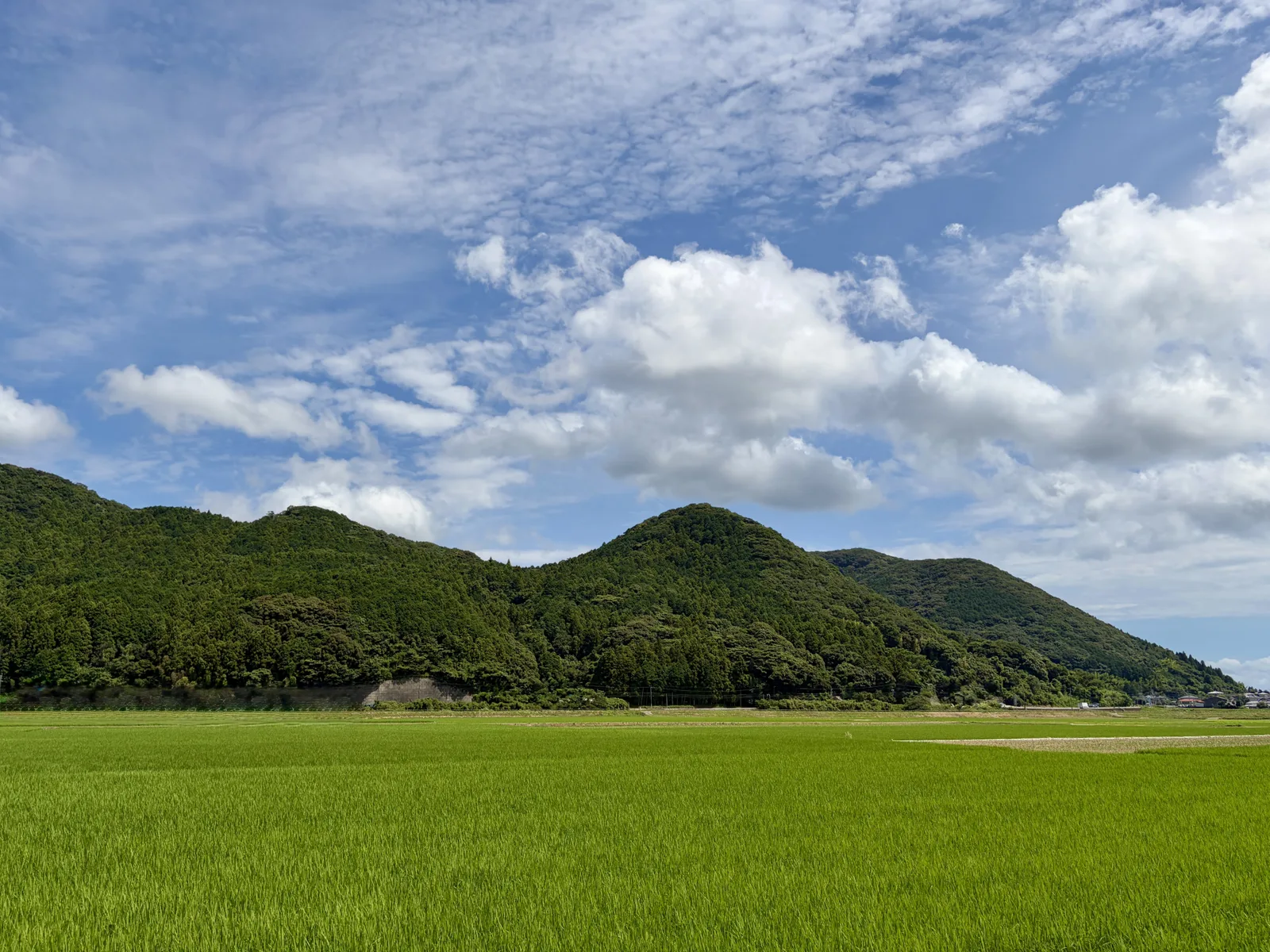 田んぼ田舎空(別荘に関する記事のイメージ)
