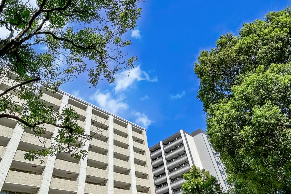 緑の街路樹と見上げた先のマンション（事故物件に関する記事のイメージ）