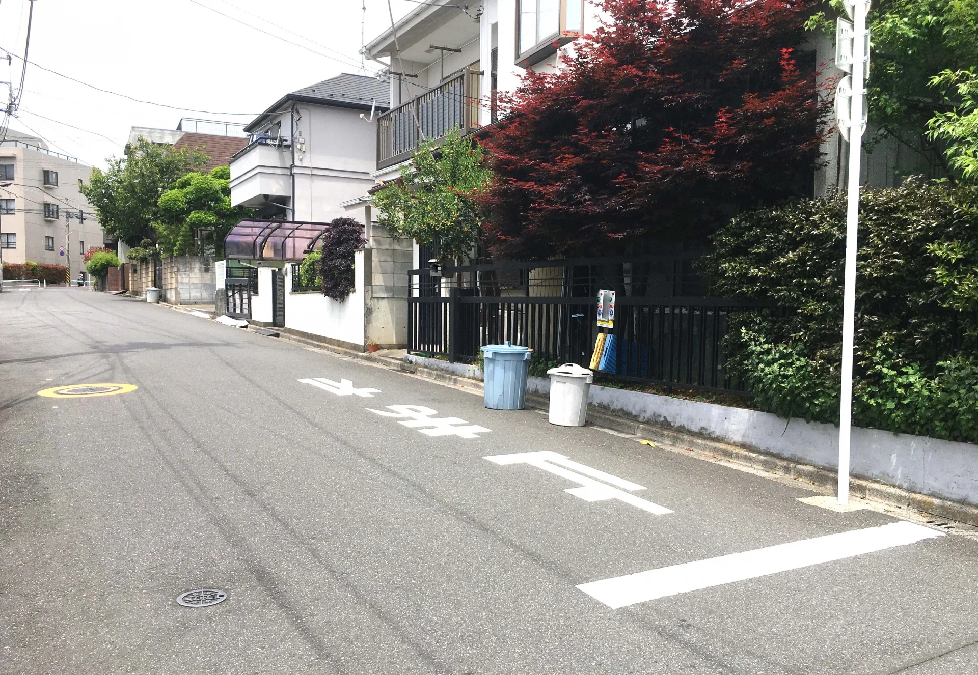 板橋区の住宅街で生垣と庭木のある戸建てが並ぶ緩やかな坂道(板橋区の空き家買取のイメージ)