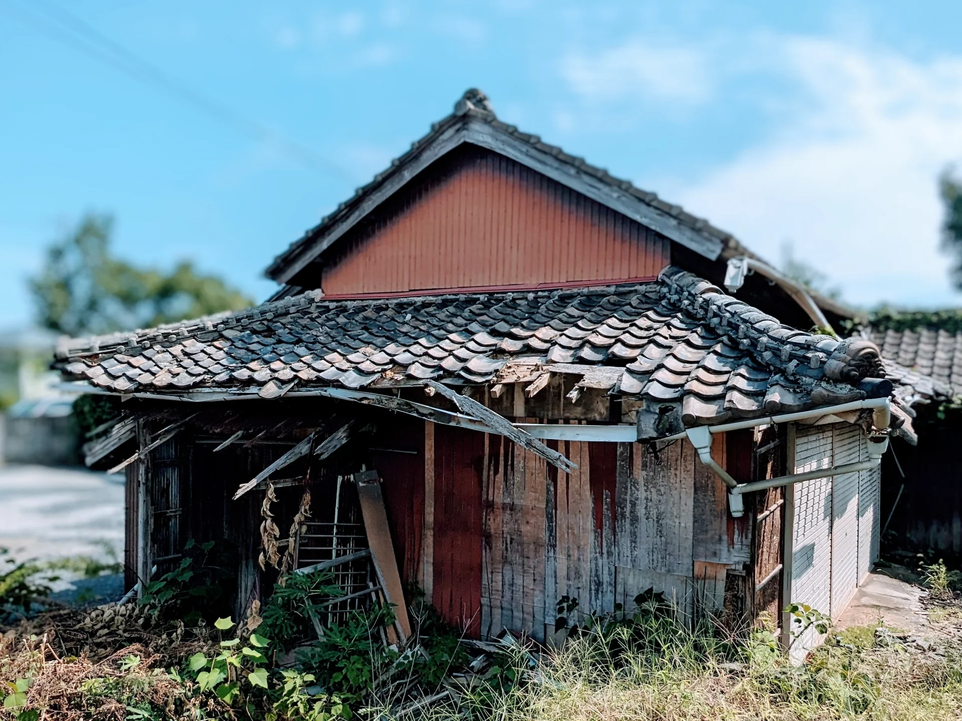 瓦屋根が崩れかけ、雑草に囲まれた古い木造家屋の外観（長く使われていない空き家のイメージ）